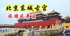 国产乱伦鸡巴插进逼里免费看30分钟视频中国北京-东城古宫旅游风景区